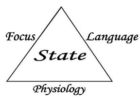 tony robbins emotional triad tony robbins emotional triad