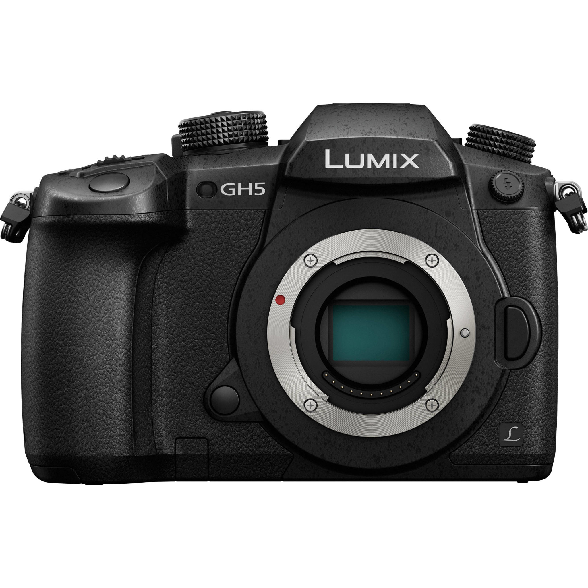 PANASONIC GH5